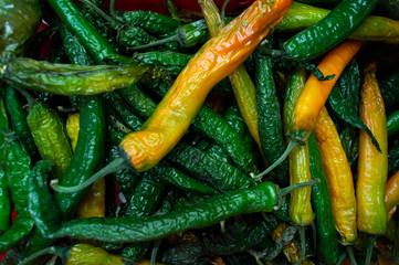 Green and yellow spoiled peppers are in the basket