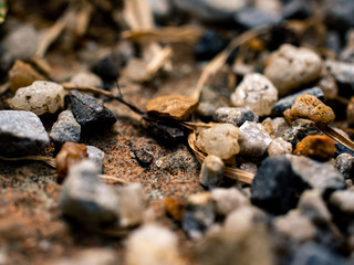 Pebbles