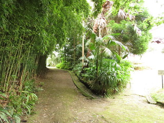 Green pathway