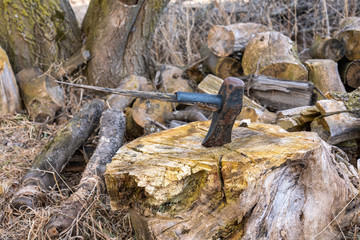 An old rusty metal ax with a broken handle stuck in a tree stump. Many logs wating to be chopped in the background.