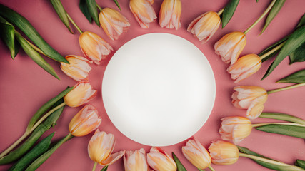Spring tulips frame, with plate on pink background