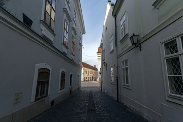Fototapeta premium Cobblestone street in Szekesfehervar on a winter day.