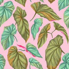 Green leaves on a pink background