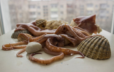 sea squids with shells on the table