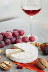 Cheese selection on concrete grey background. Cheese platter with camembert, grapes, nuts.