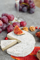 Fototapeta na wymiar Cheese selection on concrete grey background. Cheese platter with camembert, grapes, nuts.