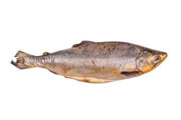 Old unhealthy poor quality fish isolated on white background, oxidized subcutaneous fat