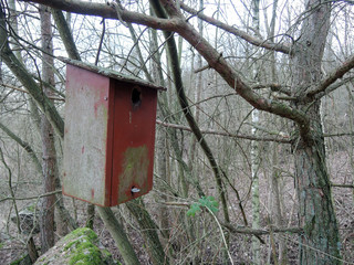 Vogelhaus linke seite wald bäume 