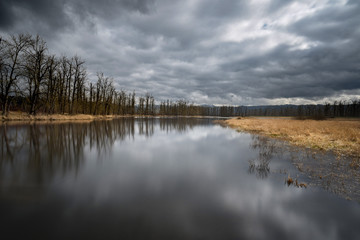 reflection of trees in water