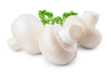 Fresh mushroom champignon isolated on white background with clipping path