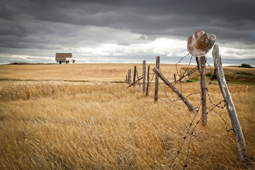 old farmhouse sitting in a wheatfield with old broken fence