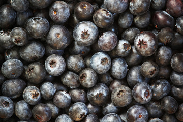 Background formed with ripe blueberry