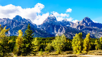 Fall Colors and the tall mountain peaks of Middle Teton, Grand Teton, Mount Owen and Teewinot Mountain in the Teton Range of Grand Teton National Park in Wyoming, United States