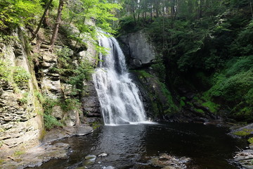 Fototapeta premium NY and DC