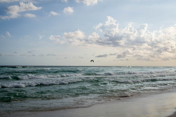 Deep colored ocean waves rolling onto shore