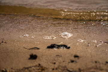 Water on the Lake Front