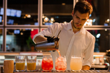 Professional Young Bartender Working