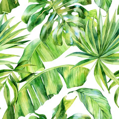 Obrazy  Akwarela bezszwowe wzór, tropikalne liście na na białym tle, akwarela, ilustracja botaniczna, kwiatowy wzór, palmy bananowe, monstera.