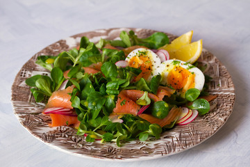 Smoked salmon egg radish and lamb leaves salad. Spring salad food. Horizontal image