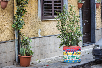 Fototapeta na wymiar Flower decorations on a street in historic part of Catania city on Sicily, autonomous region of Italy