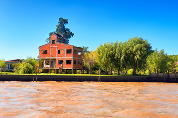 Tigra delta in Argentina, river system of the Parana Delta. Lush vegetation, palm trees,...