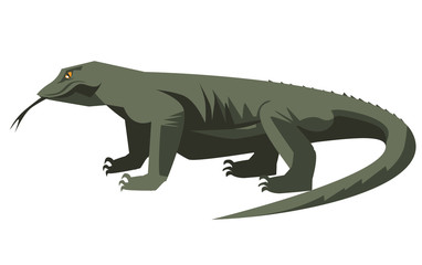komodo dragon reptile vector illustration