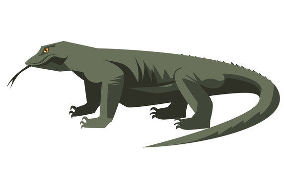 Komodo Dragon Reptile Vector Illustration