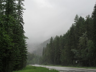 Clouds in the Mountain Forest Highway