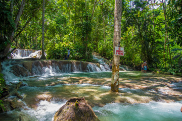 Dunn's River Falls Jamaica  - 327446231