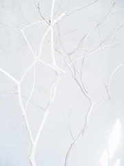 Light and natural abstract background. 