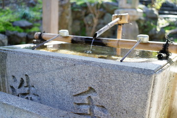 京都のお庭