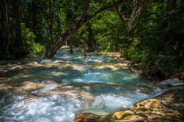 Obraz premium Dunn's Waterfalls in Jamaica 