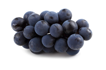 Black wine grape