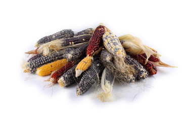Different color corn