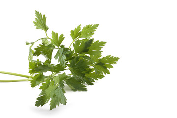 Parsley isolated on white