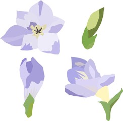 set of flowers buds and leaves in purple tone vector drawing