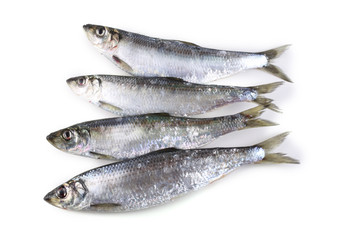 Herrings isolated on white