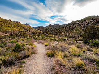 trail through desert mountain with beautiful sky
