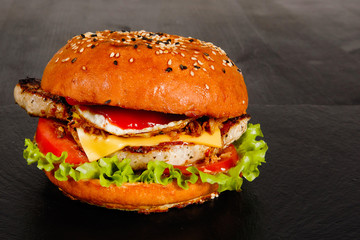 Burger on a plate.