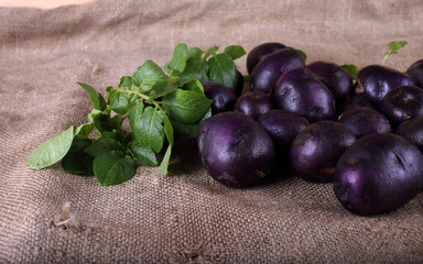 Potatoes on bagging