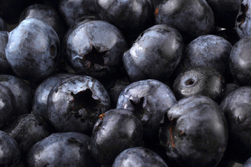 Blueberries background