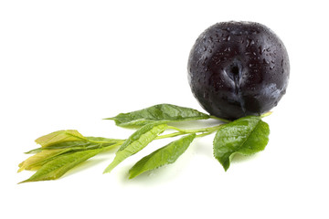 Black plum and leaves