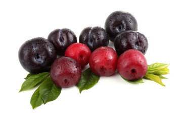 Plums and leaves
