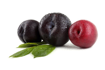 Plums and leaves