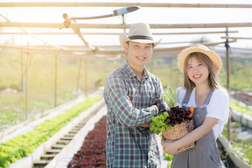 Beautiful portrait young asian woman and man harvest and picking up fresh organic vegetable garden...