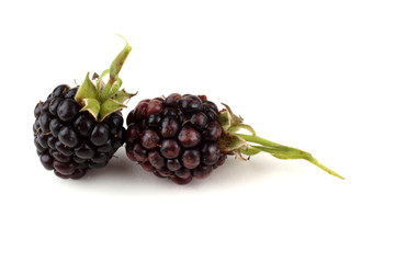 Blackberries
