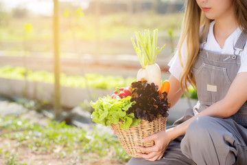 Beautiful portrait young asian woman smile harvest and picking up fresh organic vegetable garden in...