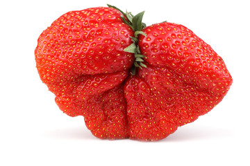 Huge strawberry