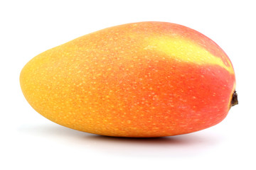 Mango fruit