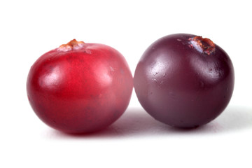Two cranberries